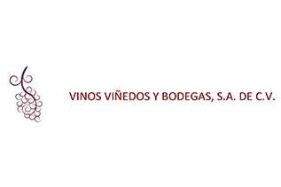 Wine-VINOS-VINEDOS-Y-BODEGAS
